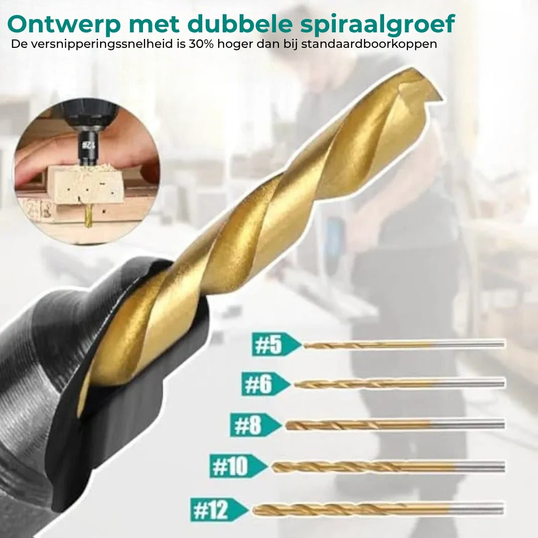 Set Precisie-Houtboren